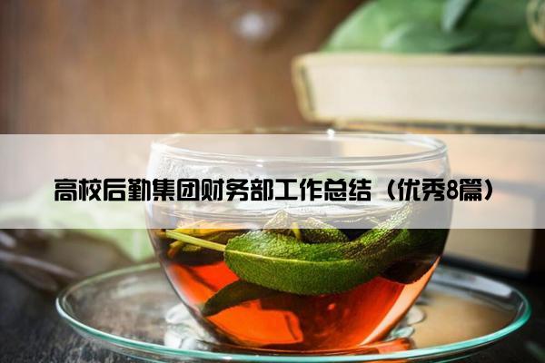 高校后勤集团财务部工作总结（优秀8篇）