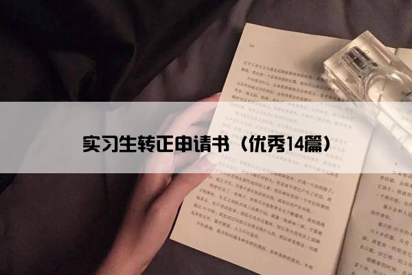 实习生转正申请书（优秀14篇）