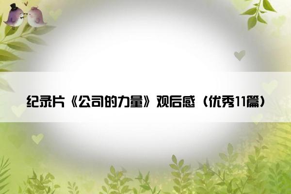纪录片《公司的力量》观后感（优秀11篇）