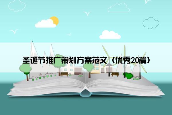圣诞节推广策划方案范文（优秀20篇）