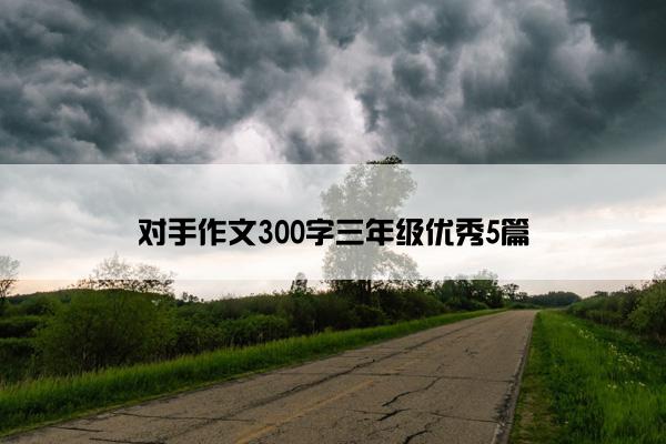 对手作文300字三年级优秀5篇