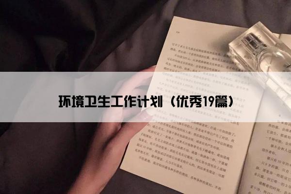 环境卫生工作计划（优秀19篇）
