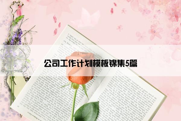 公司工作计划模板锦集5篇