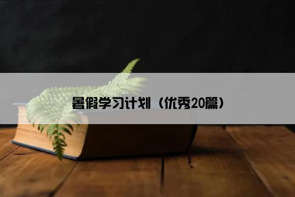 暑假学习计划（优秀20篇）