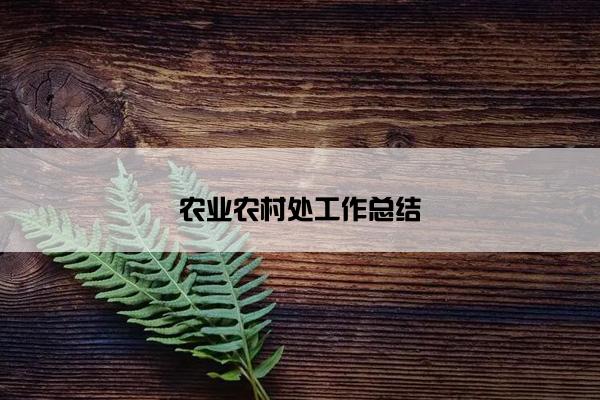 农业农村处工作总结