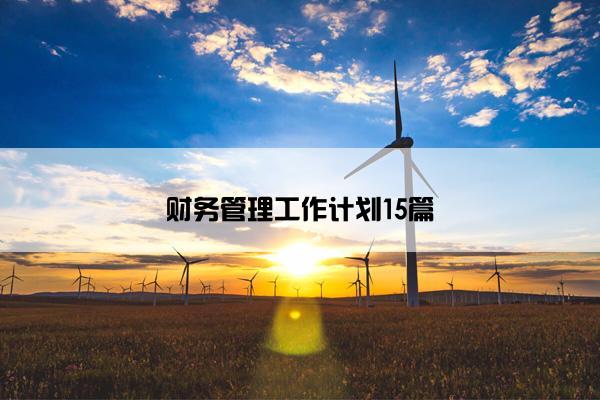 财务管理工作计划15篇