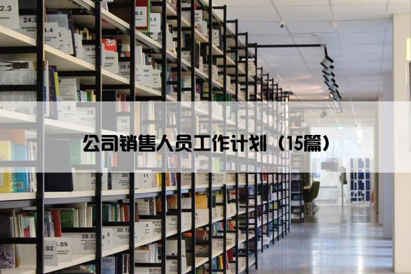 公司销售人员工作计划（15篇）