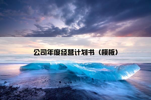 公司年度经营计划书（模板）