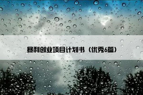暴利创业项目计划书（优秀6篇）