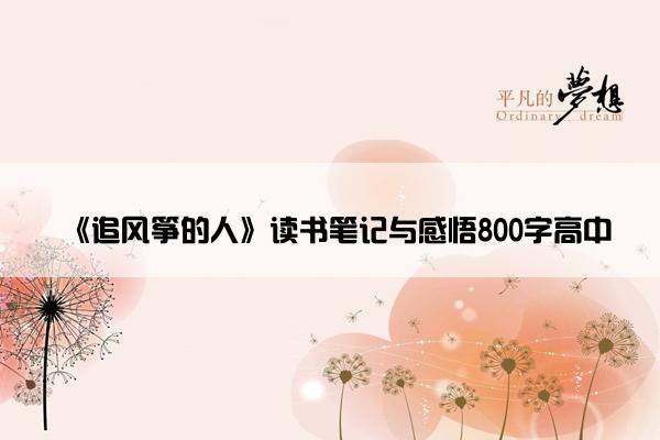 《追风筝的人》读书笔记与感悟800字高中