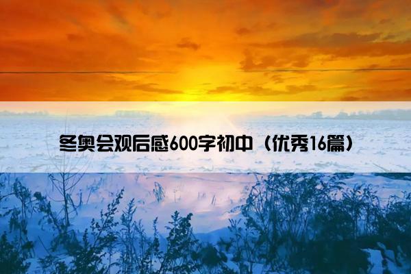 冬奥会观后感600字初中（优秀16篇）
