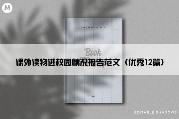 课外读物进校园情况报告范文（优秀12篇）