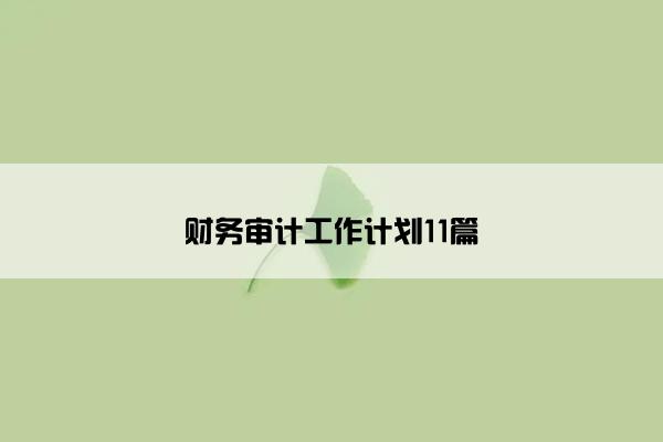 财务审计工作计划11篇