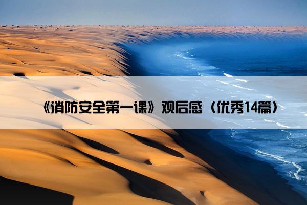《消防安全第一课》观后感（优秀14篇）