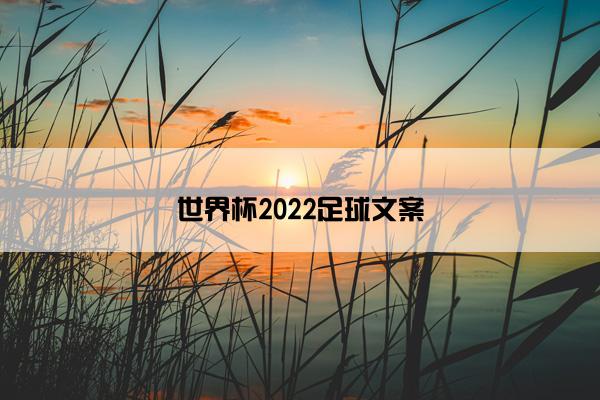 世界杯2022足球文案