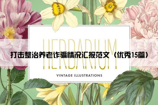 打击整治养老诈骗情况汇报范文（优秀15篇）
