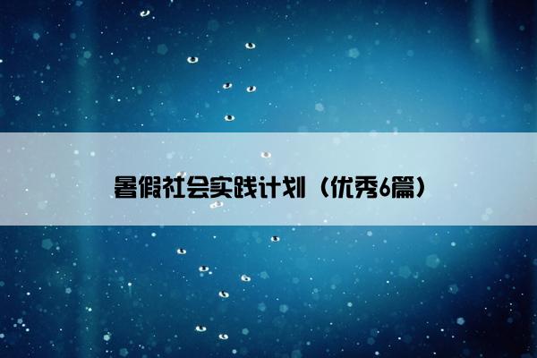 暑假社会实践计划（优秀6篇）