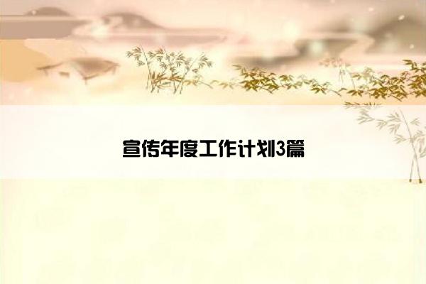 宣传年度工作计划3篇