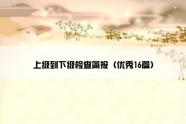 上级到下级检查简报（优秀16篇）