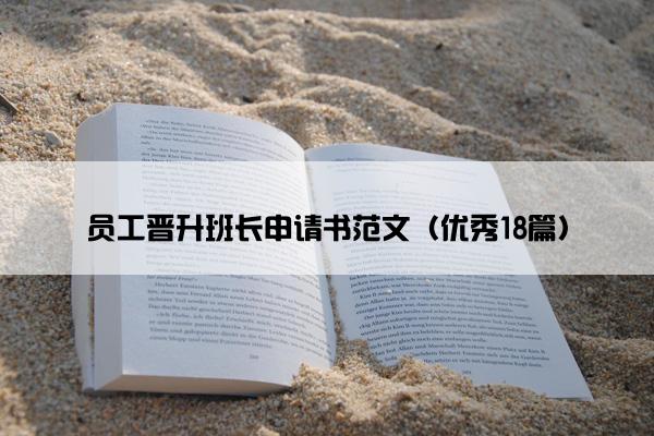 员工晋升班长申请书范文（优秀18篇）