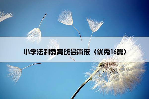 小学法制教育班会简报（优秀16篇）