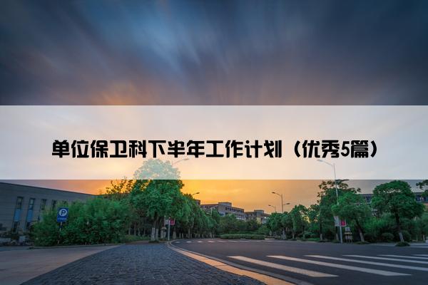 单位保卫科下半年工作计划（优秀5篇）