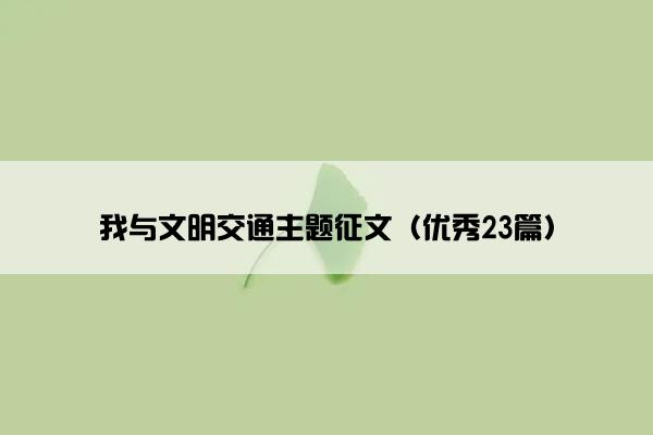 我与文明交通主题征文（优秀23篇）