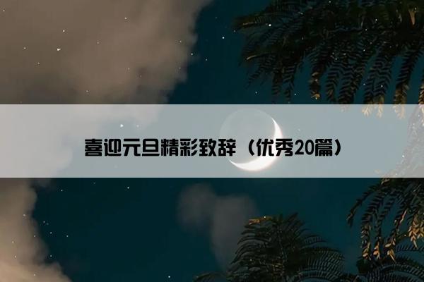 喜迎元旦精彩致辞（优秀20篇）