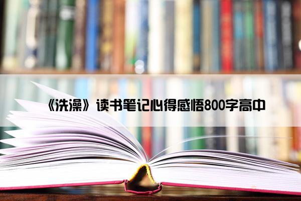 《洗澡》读书笔记心得感悟800字高中