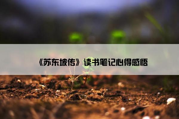 《苏东坡传》读书笔记心得感悟