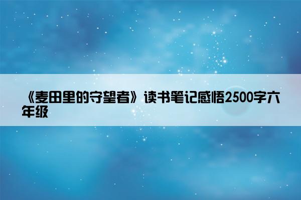 《麦田里的守望者》读书笔记感悟2500字六年级