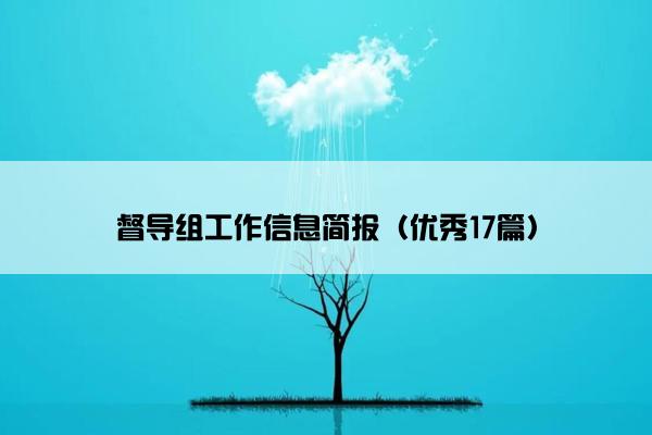 督导组工作信息简报（优秀17篇）