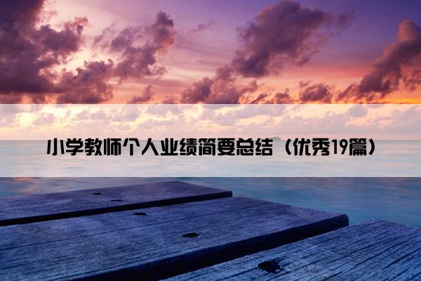 小学教师个人业绩简要总结（优秀19篇）