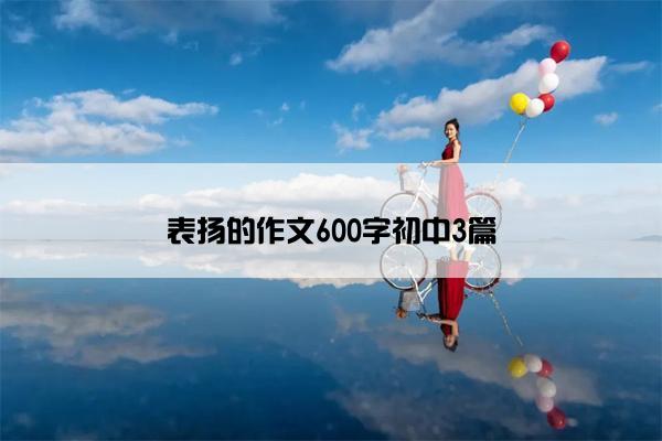 表扬的作文600字初中3篇