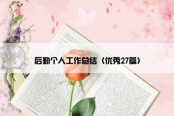 后勤个人工作总结（优秀27篇）