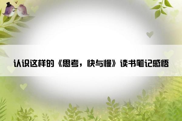 认识这样的《思考，快与慢》读书笔记感悟