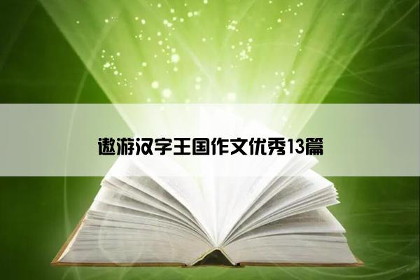 遨游汉字王国作文优秀13篇