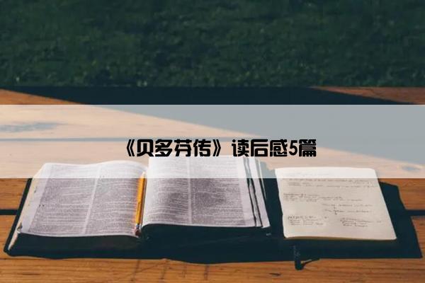 《贝多芬传》读后感5篇