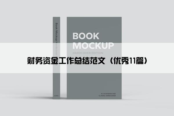 财务资金工作总结范文（优秀11篇）