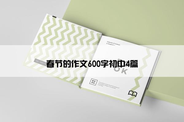 春节的作文600字初中4篇