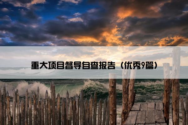 重大项目督导自查报告（优秀9篇）