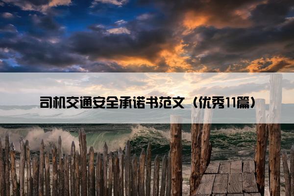 司机交通安全承诺书范文（优秀11篇）