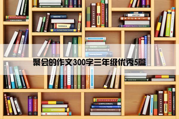 聚会的作文300字三年级优秀5篇