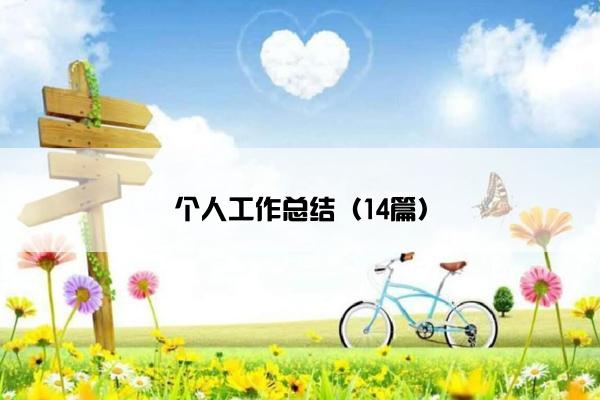 个人工作总结（14篇）