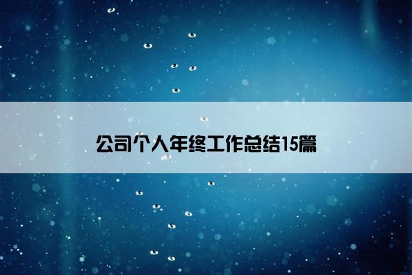 公司个人年终工作总结15篇
