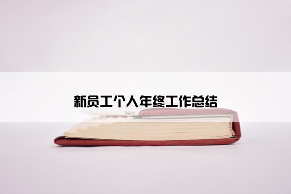 新员工个人年终工作总结