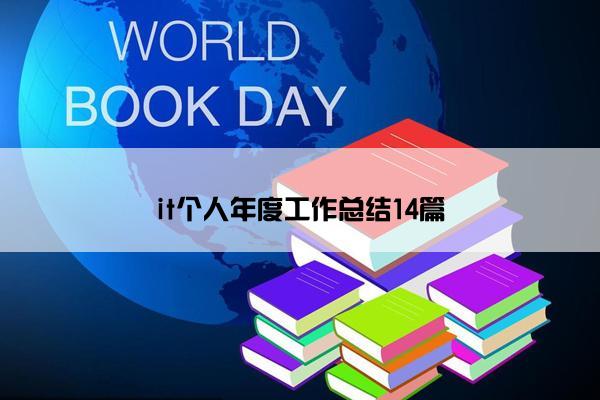 it个人年度工作总结14篇