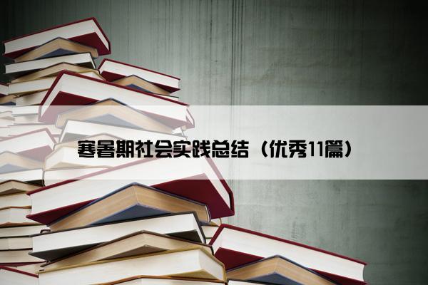 寒暑期社会实践总结（优秀11篇）