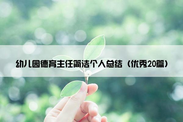 幼儿园德育主任简洁个人总结（优秀20篇）