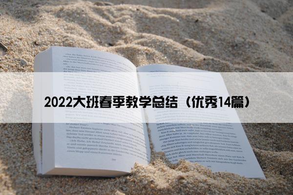 2022大班春季教学总结（优秀14篇）